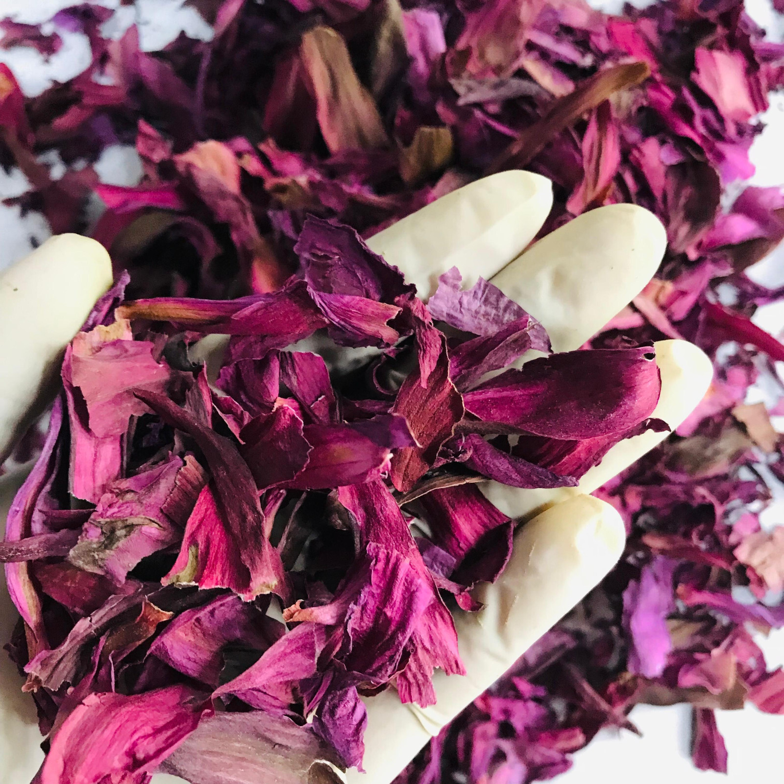 Dried Cut Red Lotus 1kg Nymphaea Rubra Flower Pure Organic Ceylon Herbal Tea